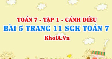 Bài 5 trang 11 SGK Toán 7 tập 1 Cánh Diều